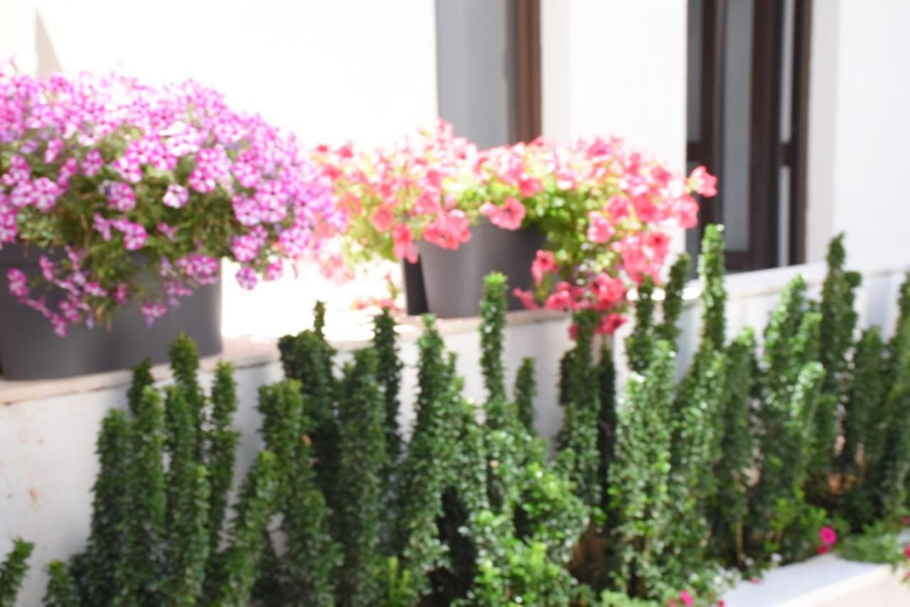 Petar Appartement Budva